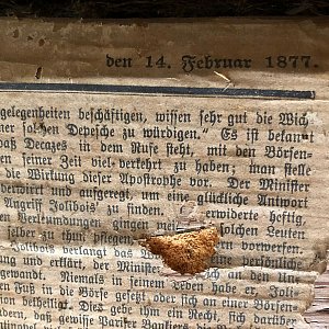 Zeit-Zeuge Thurgauer Zeitung von 1877